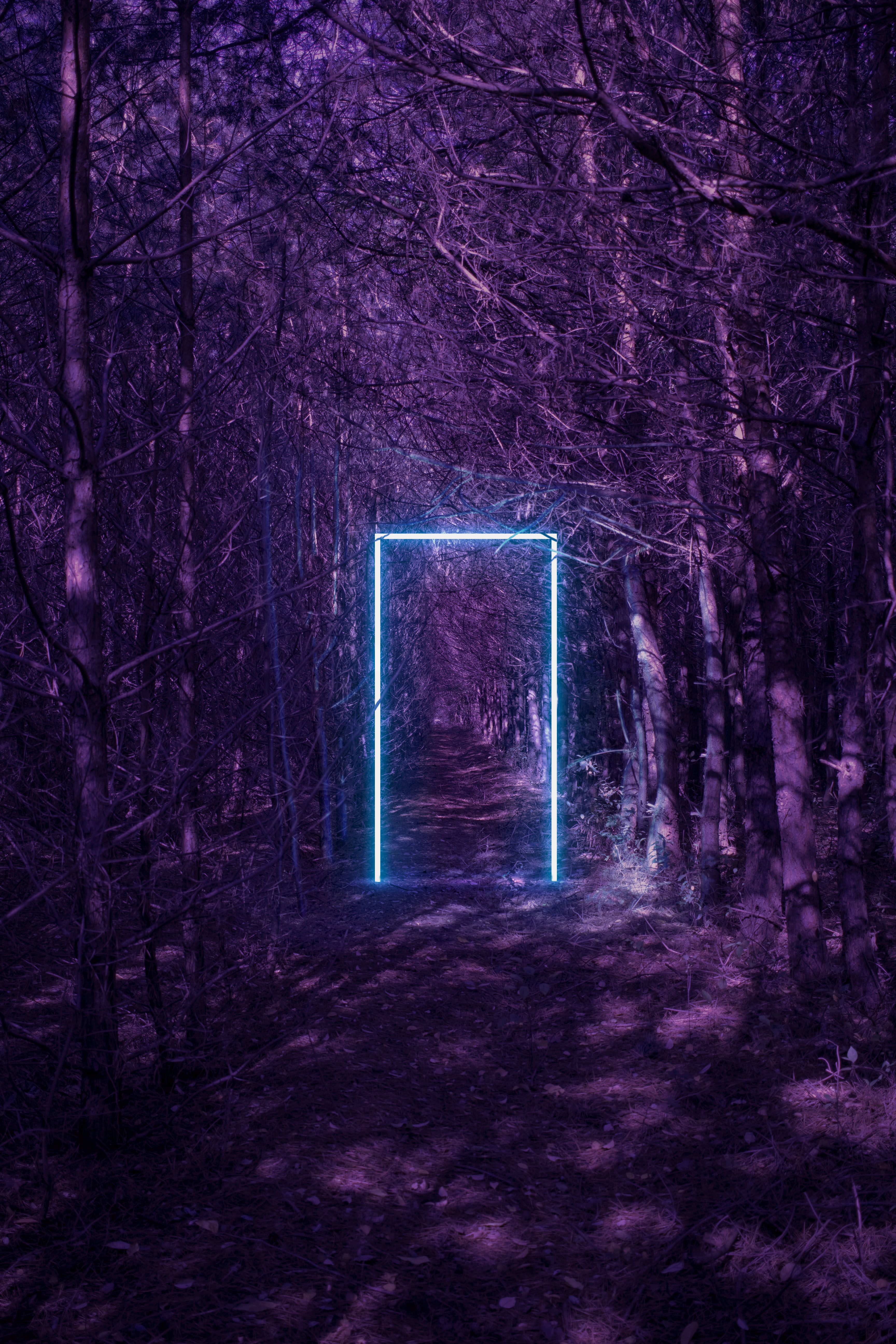 A doorway made of neon lights in the middle of a forest